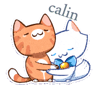 Gif câlin chat